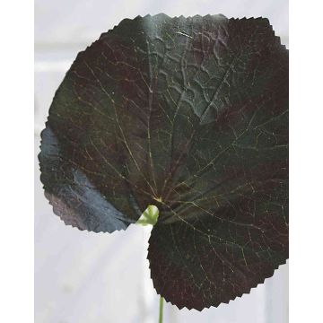 Hoja de geranio artificial HEIDEGARD, verde-rojo, 38cm, Ø14cm