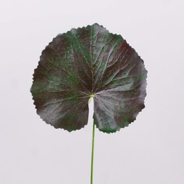 Hoja de geranio artificial HEIDEGARD, verde-rojo, 38cm, Ø13cm