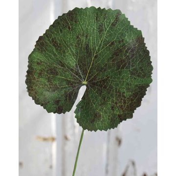 Hoja de geranio artificial HEIDEGARD, verde-rojo, 38cm, Ø13cm