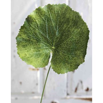 Hoja de geranio artificial HEIDEGARD, verde, 38cm, Ø13cm