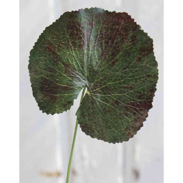 Hoja de geranio artificial HEIDEGARD, verde-rojo, 38cm, Ø11cm