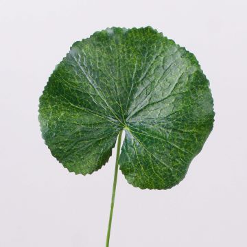 Hoja de geranio artificial HEIDEGARD, verde, 38cm, Ø11cm