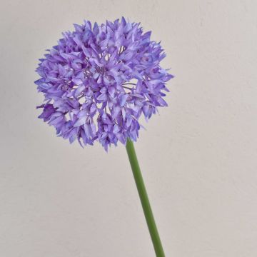 Allium artificial LISBETH, lila, 80cm, Ø15cm