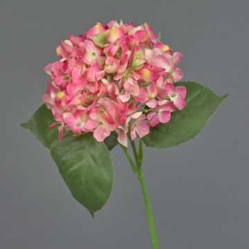 Hortensia sintética HERMINE, rosa-fucsia, 65cm