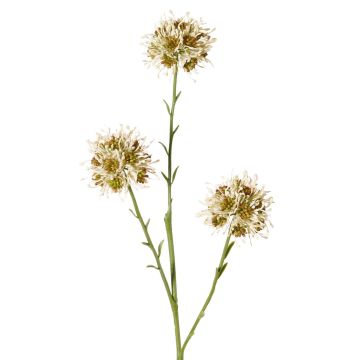 Rama de allium artificial ZEBU, crema, 65cm, Ø7cm Rama de allium artificial ZEBU, crema, 65cm, Ø7cm