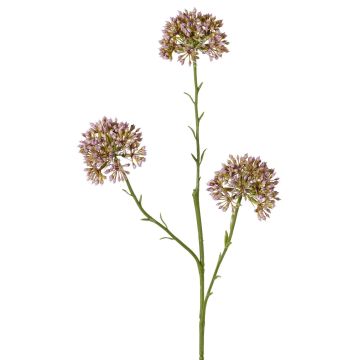 Rama decorativa de allium ALIKIO, lila, 65cm, Ø7cm