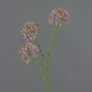 Rama decorativa de allium ALIKIO, lila, 65 cm, Ø 6,5 cm
