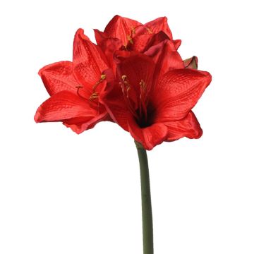Amaryllis flor sintética BENITA, rojo, 55cm, Ø10cm Amaryllis flor sintética BENITA, rojo, 55cm, Ø10cm