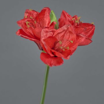 Amaryllis flor sintética BENITA, rojo, 55cm, Ø10cm