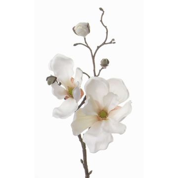 Rama de magnolia artificial MALBINE, crema, 50cm, Ø6-10cm Rama de magnolia artificial MALBINE, crema, 50cm, Ø6-10cm