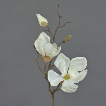 Rama de magnolia artificial MALBINE, crema, 50cm, Ø6-10cm