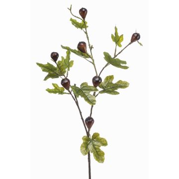 Rama decorativa de higo PROWER con frutos, verde, 90 cm
