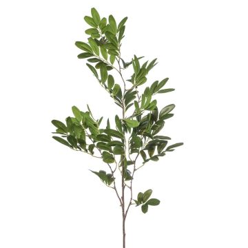 Rama decorativa de pistacho WEXTOR, verde, 90 cm