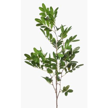 Rama decorativa de pistacho WEXTOR, verde, 90 cm