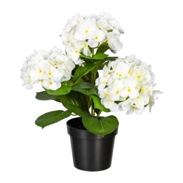 Flor decorativa Hortensia SLORFIN en maceta decorativa negra, blanca, 30 cm