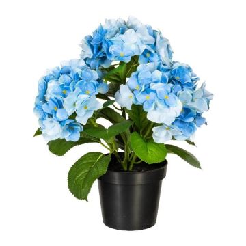 Flor decorativa Hortensia SLORFIN en maceta decorativa negra, azul, 30 cm