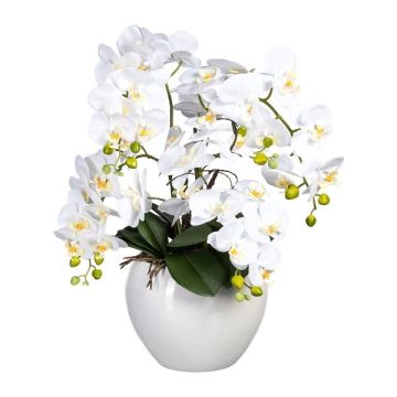 Arreglo floral artificial de orquídea Phalaenopsis WEMBER con sauce retorcido, maceta de cerámica, raíces, blanco, 55 cm