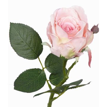 Mini rama de rosa de simulación VRONI, rosa, 30cm, Ø6,5cm Mini rama de rosa de simulación VRONI, rosa, 30cm, Ø6,5cm
