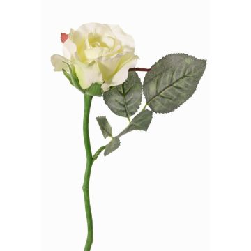 Rosa artificial ELLI, crema-blanco, 30cm, Ø6,5cm Rosa artificial ELLI, crema-blanco, 30cm, Ø6,5cm