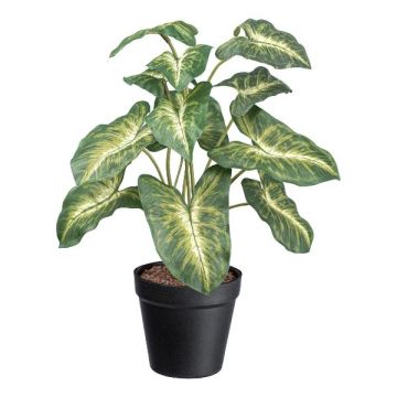 Planta decorativa Syngonium GLOHEN, maceta decorativa, verde-amarillo, 40 cm