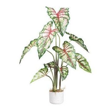 Planta decorativa Caladium GRUHON, maceta de melamina, verde-roja, 100 cm