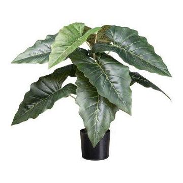 Planta artificial Colocasia ZORHEL, verde, 65 cm