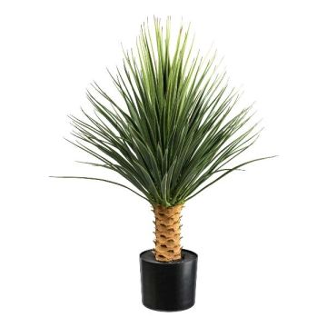 Palmera artificial Yucca rostrata QUINCE, 85 cm