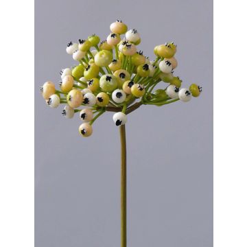 Rama Pyracantha artificial CLEO, con bayas, crema-verde, 20cm Rama Pyracantha artificial CLEO, con bayas, crema-verde, 20cm