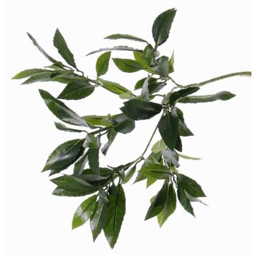 Rama laurel falsa NAGISA, verde, 50cm Rama laurel falsa NAGISA, verde, 50cm