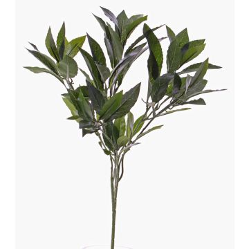Rama de laurel artificial NAGISA, difícil inflamar, verde, 50cm Rama de laurel artificial NAGISA, difícil inflamar, verde, 50cm