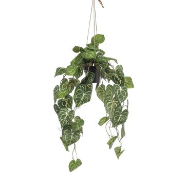 Planta artificial anturio en maceta colgante MORGANE, maceta decorativa, verde, 80 cm