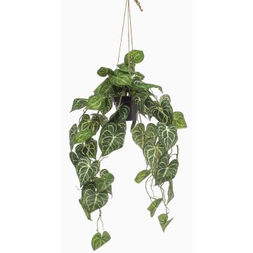Planta artificial anturio en maceta colgante MORGANE, maceta decorativa, verde, 80 cm