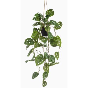 Filodendro Monstera adansonii artificial, maceta colgante VANIELLE, maceta decorativa, 80 cm Filodendro Monstera adansonii artificial, maceta colgante VANIELLE, maceta decorativa, 80 cm