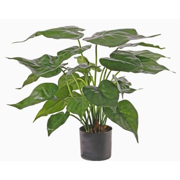Alocasia artificial AROA, verde, 50cm