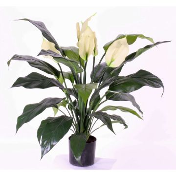 Spathiphyllum artificial ABBY con flores, blanco, 75cm