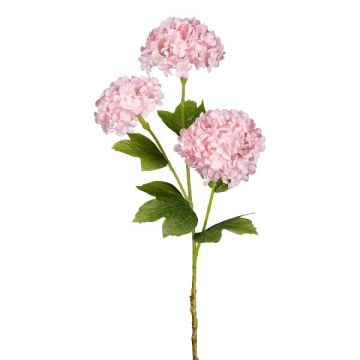 Rama decorativa de bola de nieve SKORNE, color rosa, 60 cm Rama decorativa de bola de nieve SKORNE, color rosa, 60 cm