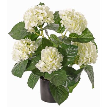 Hortensia sintética TEMARI, crema, 40cm, Ø10-12cm Hortensia sintética TEMARI, crema, 40cm, Ø10-12cm