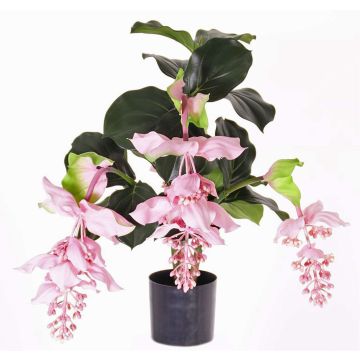 Medinilla artificial LAILANI, rosa, 80cm, Ø20cm