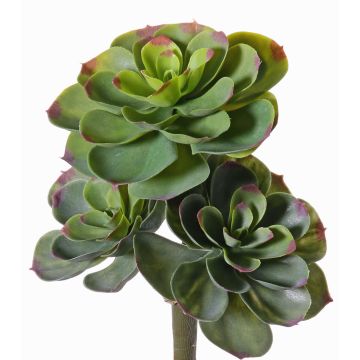 Echeveria artificial NADIA, vara de fijación, verde-rojo, 30cm, Ø20cm Echeveria artificial NADIA, vara de fijación, verde-rojo, 30cm, Ø20cm