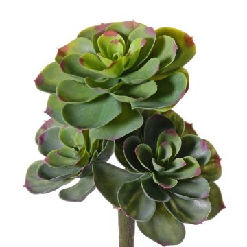 Echeveria artificial NADIA, vara de fijación, verde-rojo, 30cm, Ø20cm