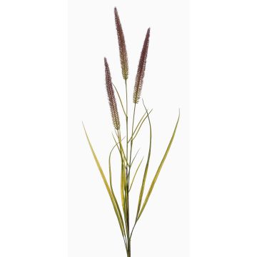 Rama decorativa de cola de zorro TALOR con panículas, marrón-verde, 85 cm Rama decorativa de cola de zorro TALOR con panículas, marrón-verde, 85 cm