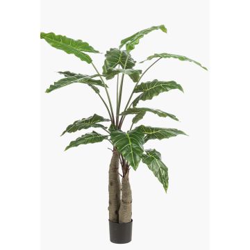 Planta artificial Alocasia Sanderiana ALBULA, verde, 150 cm