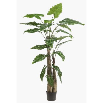 Planta artificial Alocasia Sanderiana ALBULA, verde, 180 cm