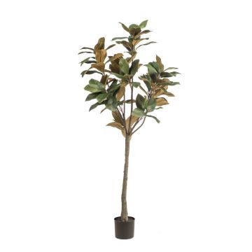 Árbol de magnolia Yulan artificial BELLITA, tronco artificial, verde oliva, 150 cm