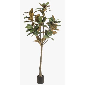 Árbol de magnolia Yulan artificial BELLITA, tronco artificial, verde oliva, 150 cm Árbol de magnolia Yulan artificial BELLITA, tronco artificial, verde oliva, 150 cm