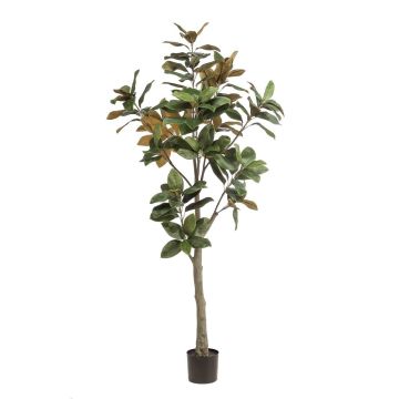 Árbol de magnolia Yulan artificial BELLITA, tronco artificial, verde oliva, 180 cm