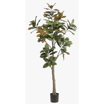 Árbol de magnolia Yulan artificial BELLITA, tronco artificial, verde oliva, 180 cm Árbol de magnolia Yulan artificial BELLITA, tronco artificial, verde oliva, 180 cm