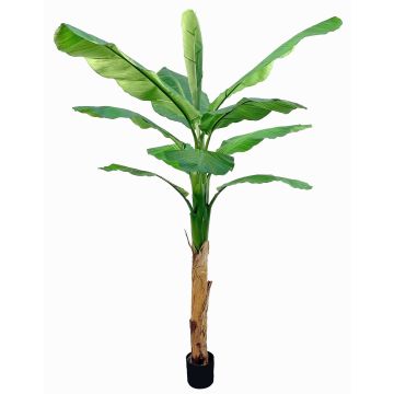 Platanero artificial SCHWANA, 210cm
