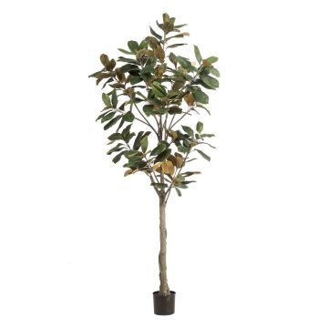 Árbol de magnolia Yulan artificial BELLITA, tronco artificial, verde oliva, 210 cm