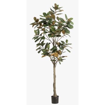Árbol de magnolia Yulan artificial BELLITA, tronco artificial, verde oliva, 210 cm